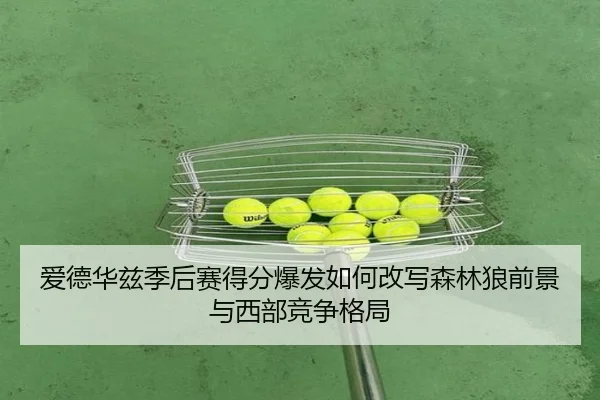 爱德华兹季后赛得分爆发如何改写森林狼前景与西部竞争格局